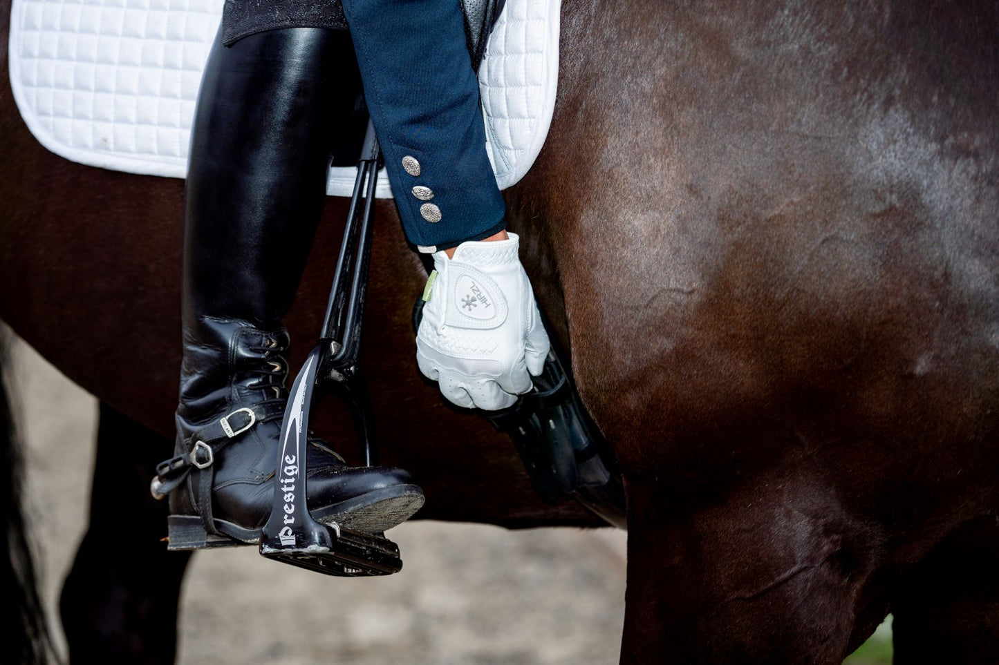 Hirzl Dressage Soffft Gloves