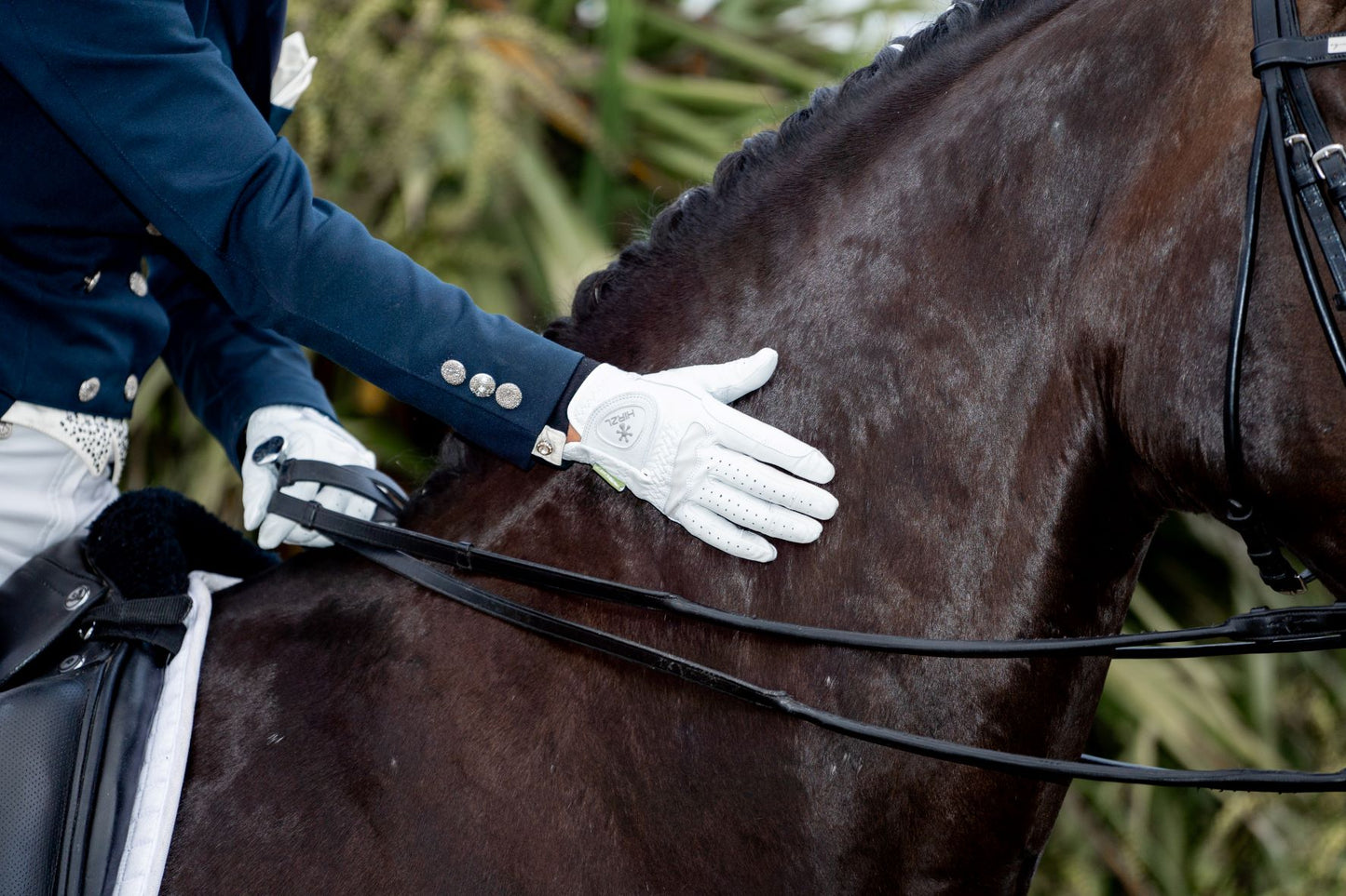 Hirzl Dressage Soffft Gloves