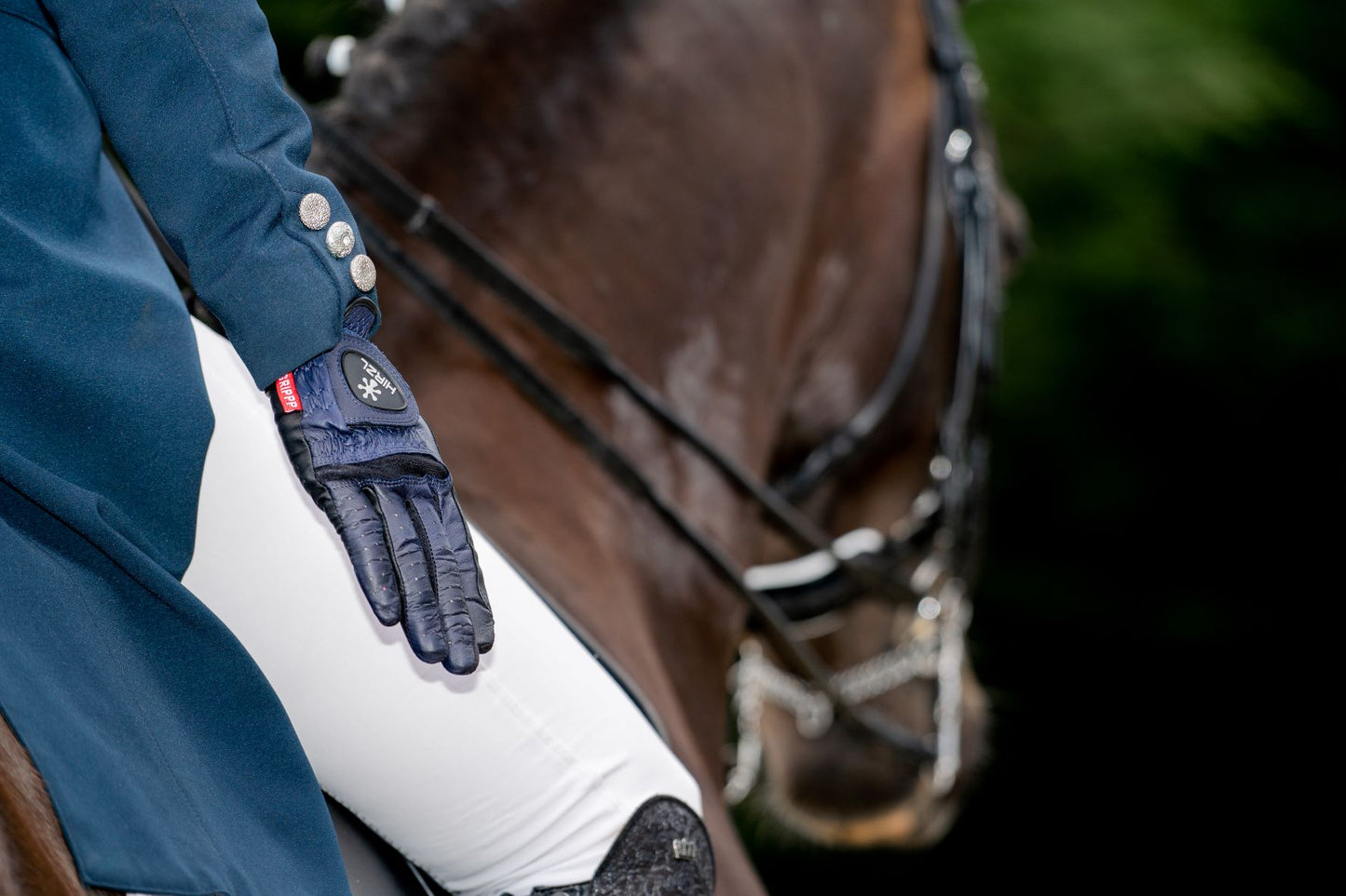 Hirzl Dressage Soffft Gloves